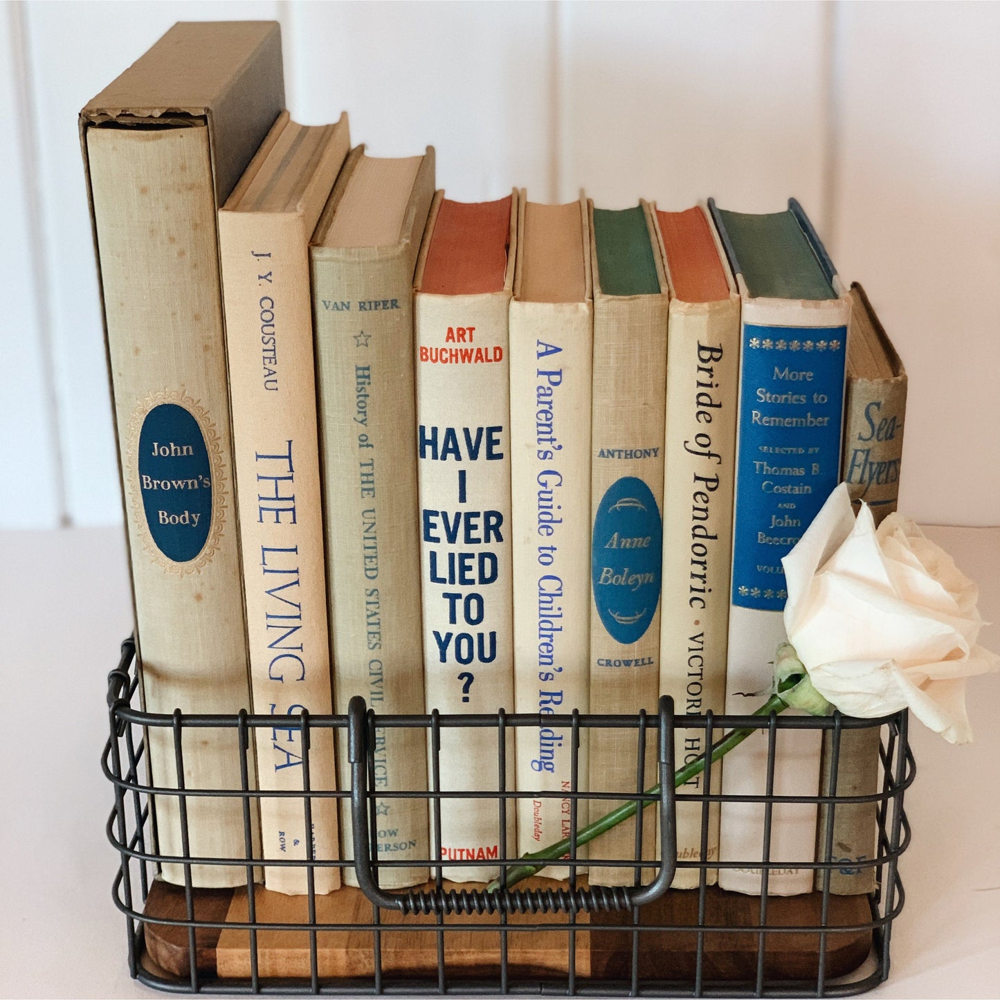 Beige and Blue Vintage Books for Decor, Handmade Bookshelf Decor, Mid Century Modern Books By Color