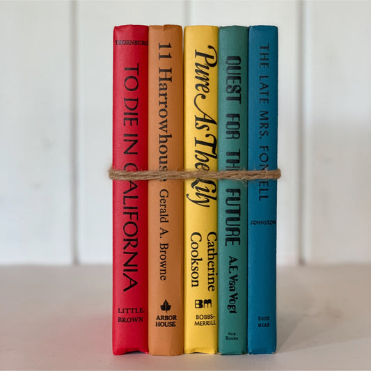 Bright Rainbow Book Set, Retro 1970s Books in Fun Colors