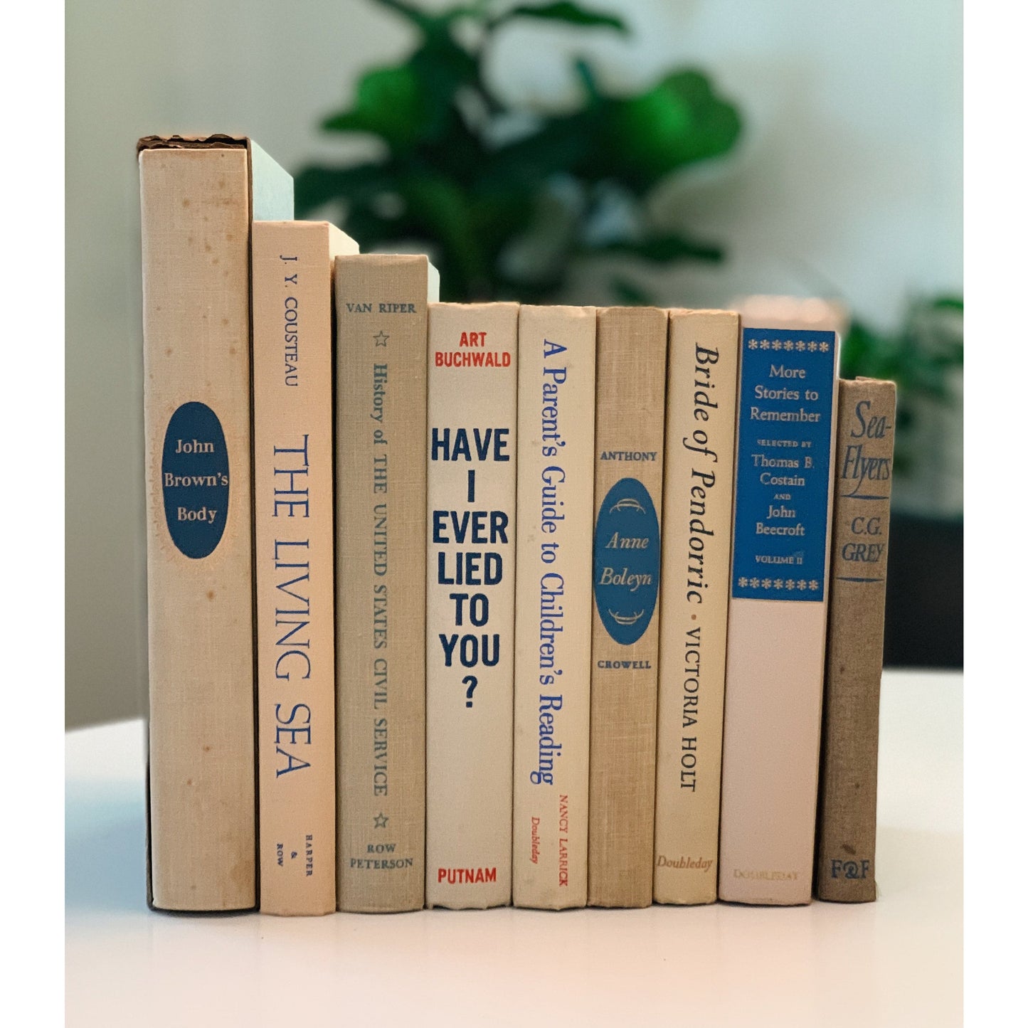 Beige and Blue Vintage Books for Decor, Handmade Bookshelf Decor, Mid Century Modern Books By Color