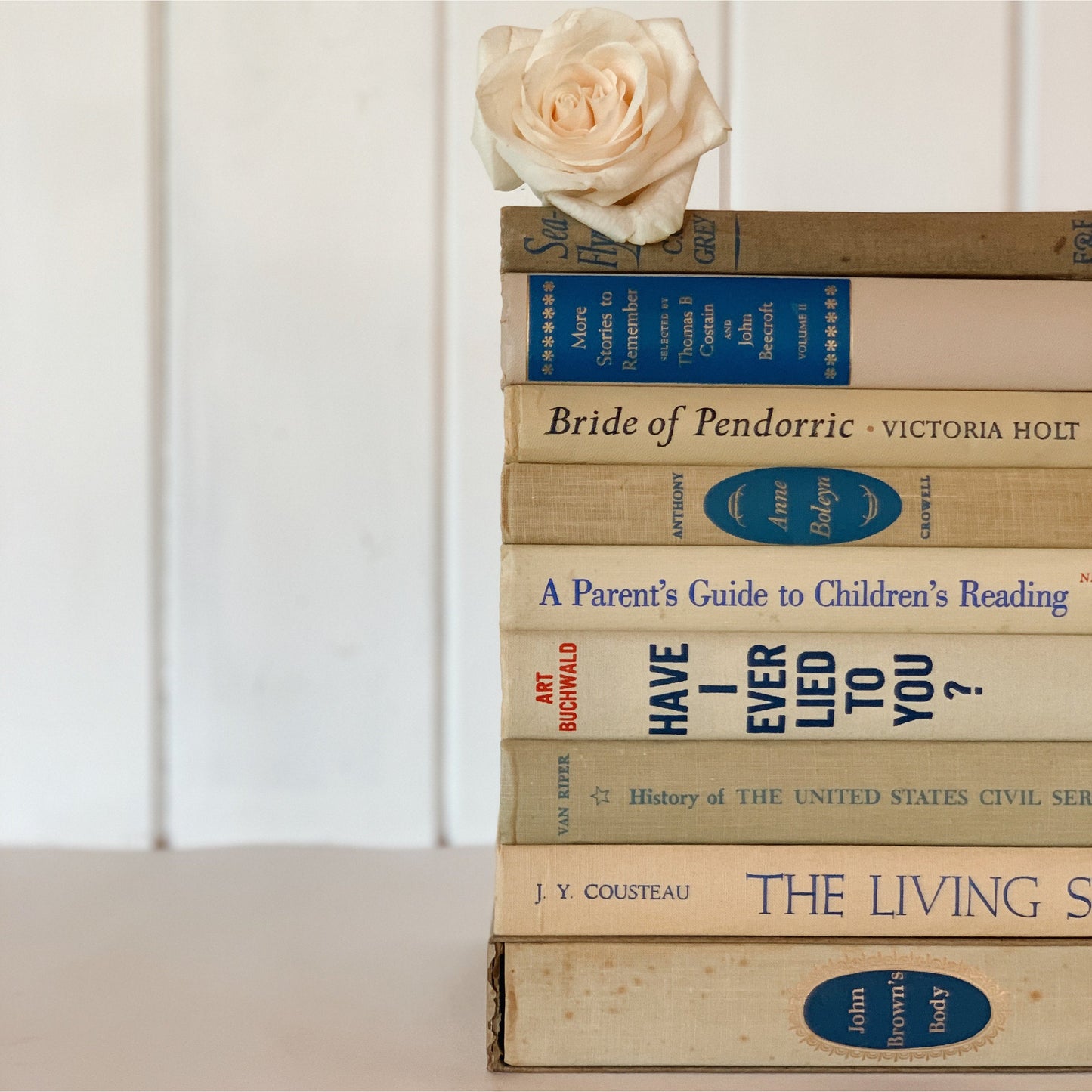 Beige and Blue Vintage Books for Decor, Handmade Bookshelf Decor, Mid Century Modern Books By Color