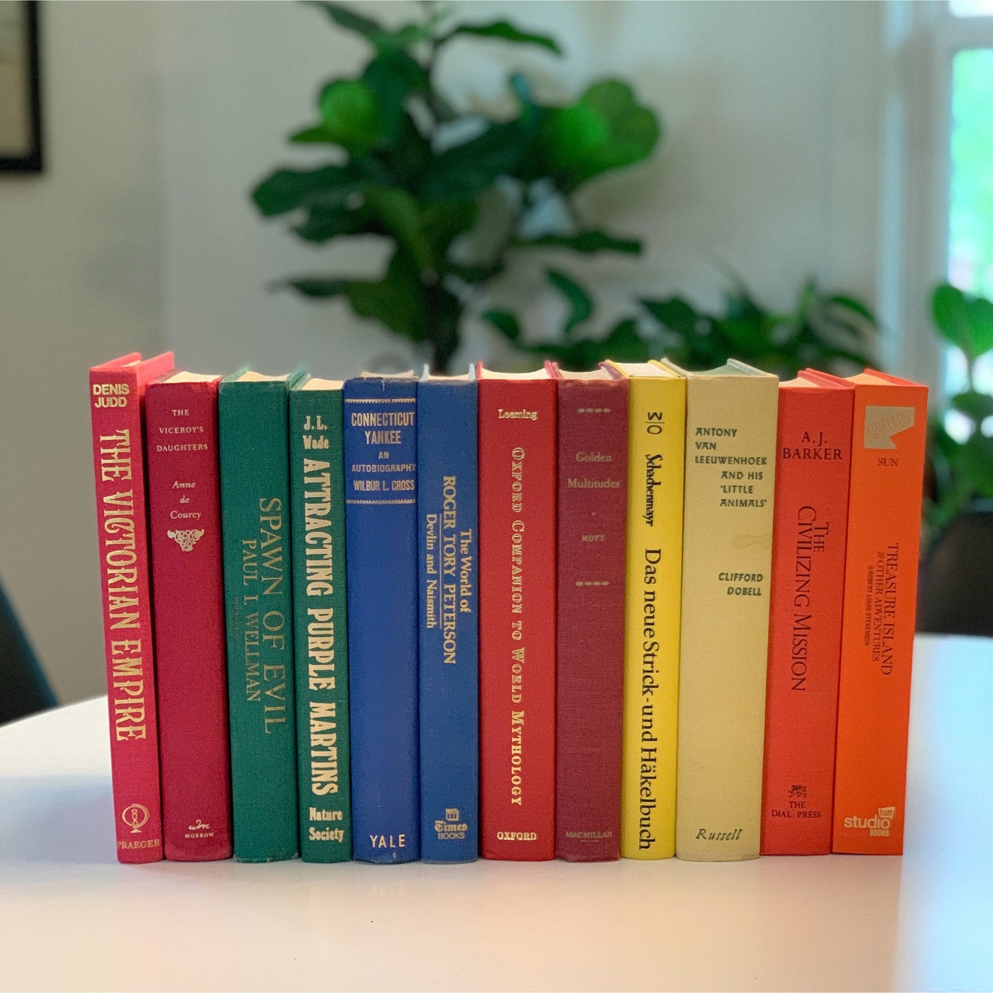 Large Vintage Decorative Books, Rainbow Book Set, Jewel Toned Decor