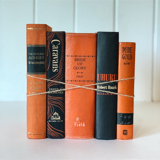 Black and Orange Vintage Books by Color for Decor, Halloween Shelf Styling