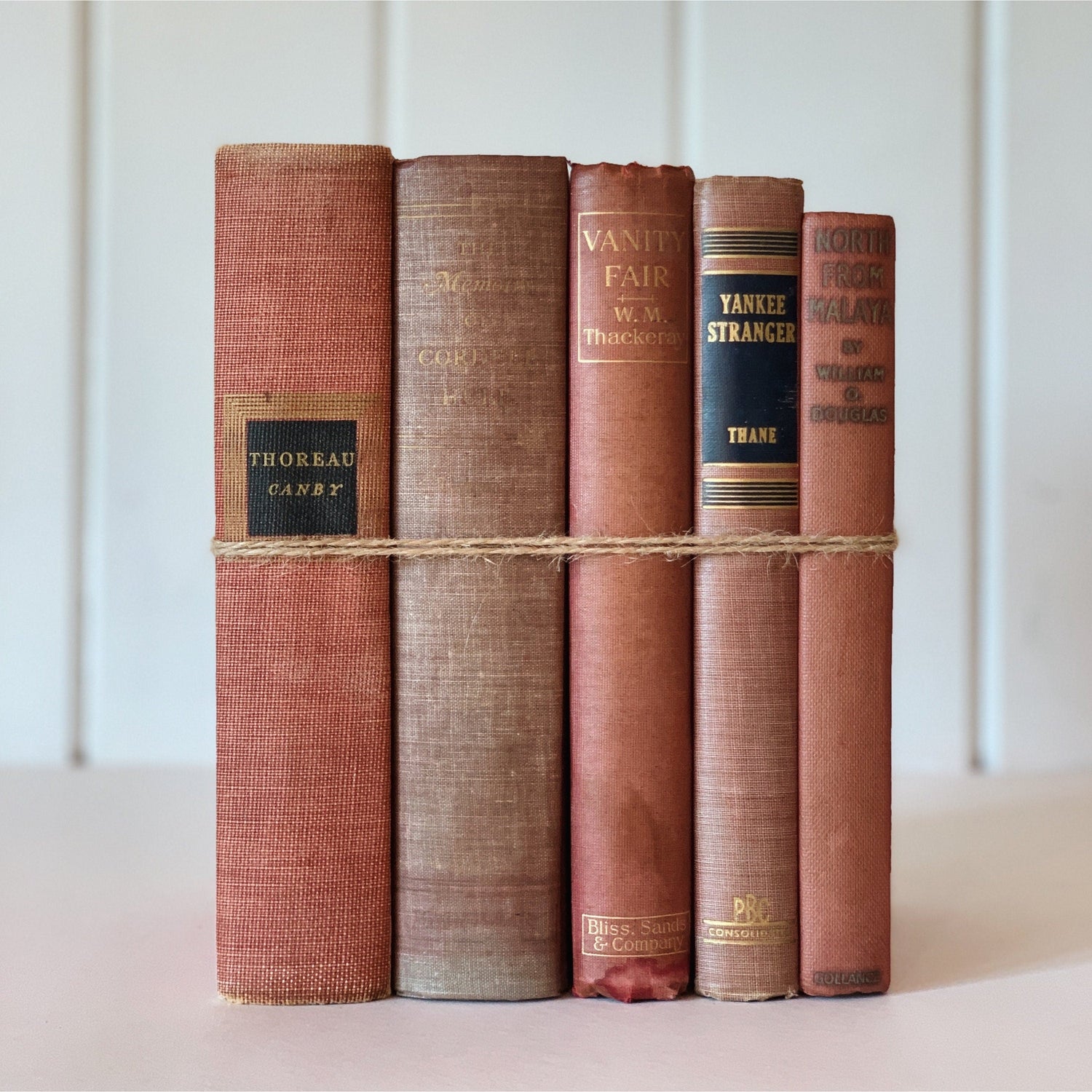 Mauve and Pink Faded Shabby Vintage Books for Display