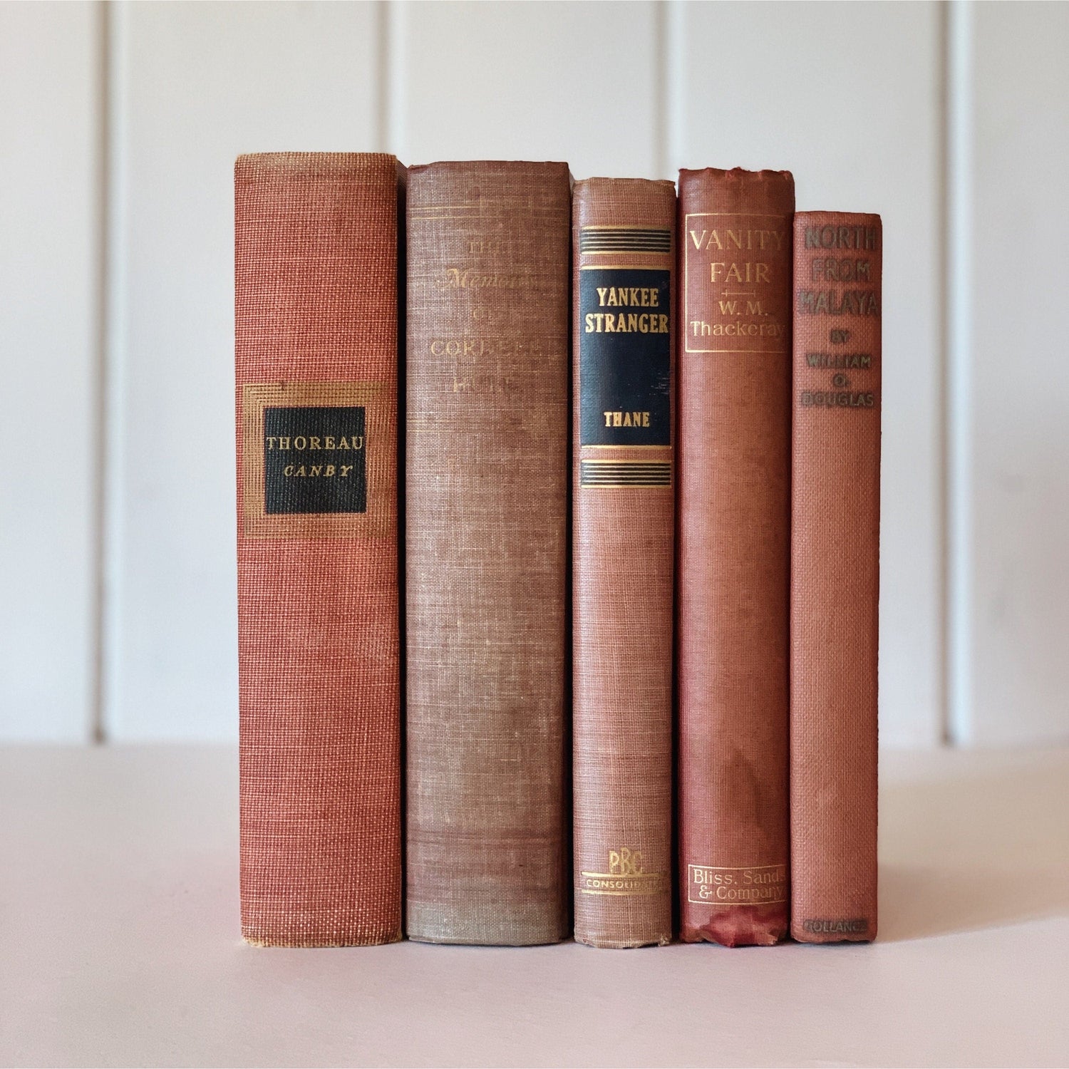 Mauve and Pink Faded Shabby Vintage Books for Display