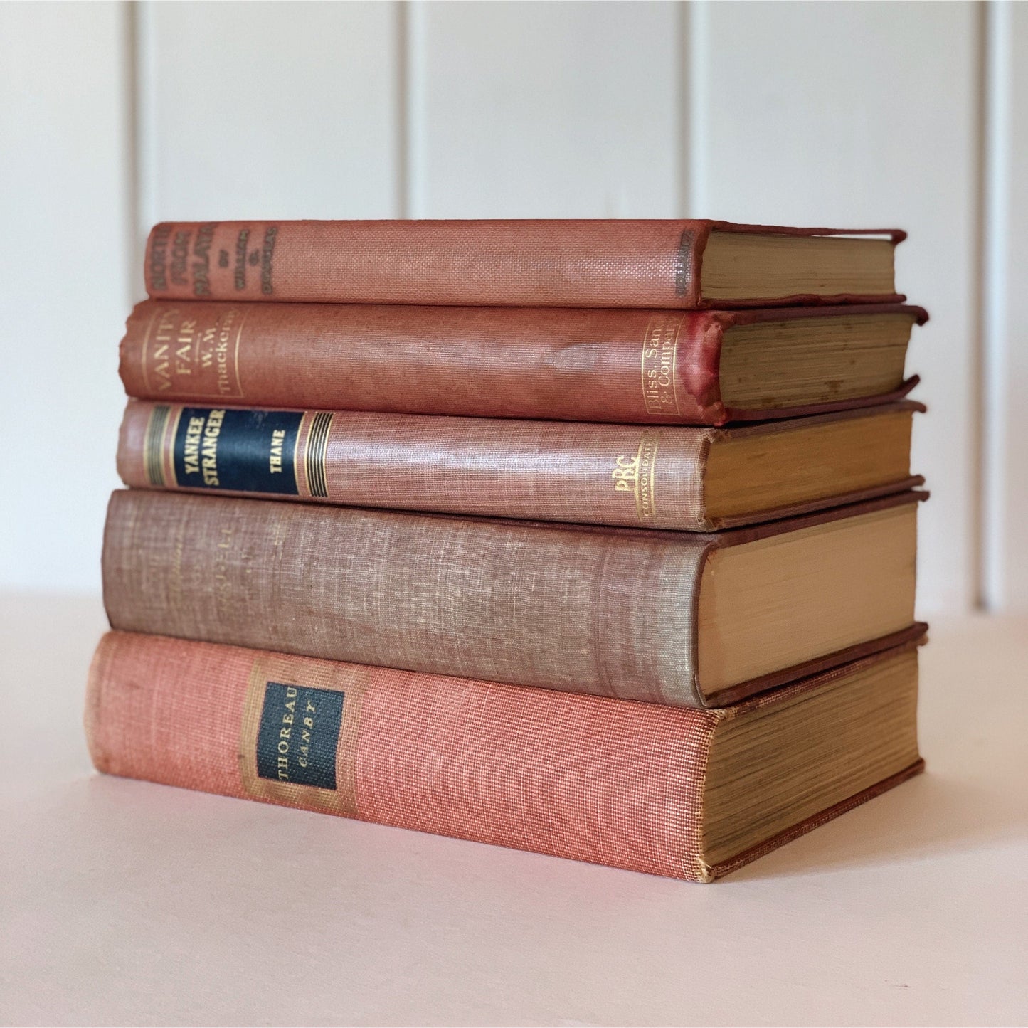 Mauve and Pink Faded Shabby Vintage Books for Display