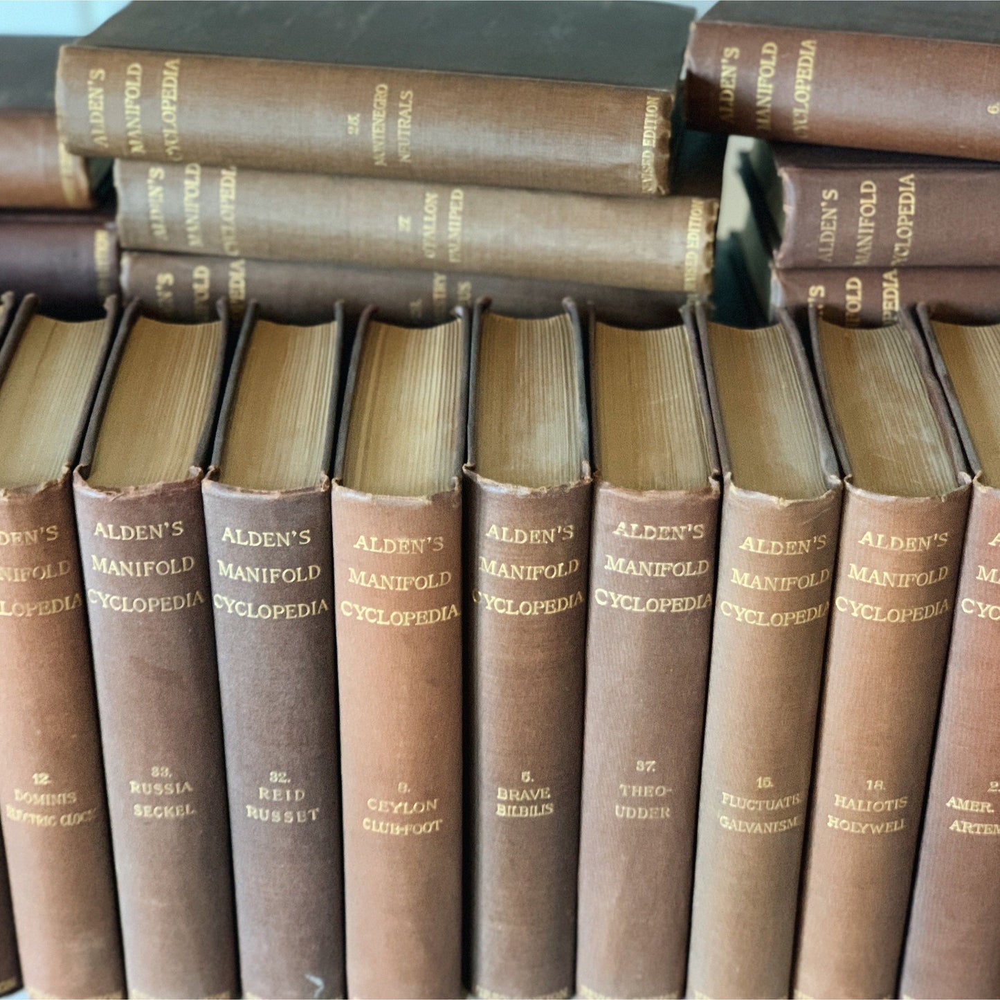 Antique Encyclopedia Set, Alden's Manifold Cyclopedia of Knowledge and Language, 1889 Complete