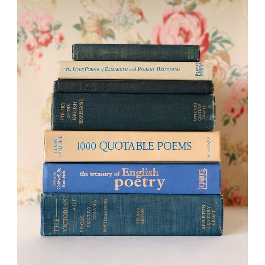 Blue Poetry and Literature Books for Decor, Large Antique and Vintage Book Bundle