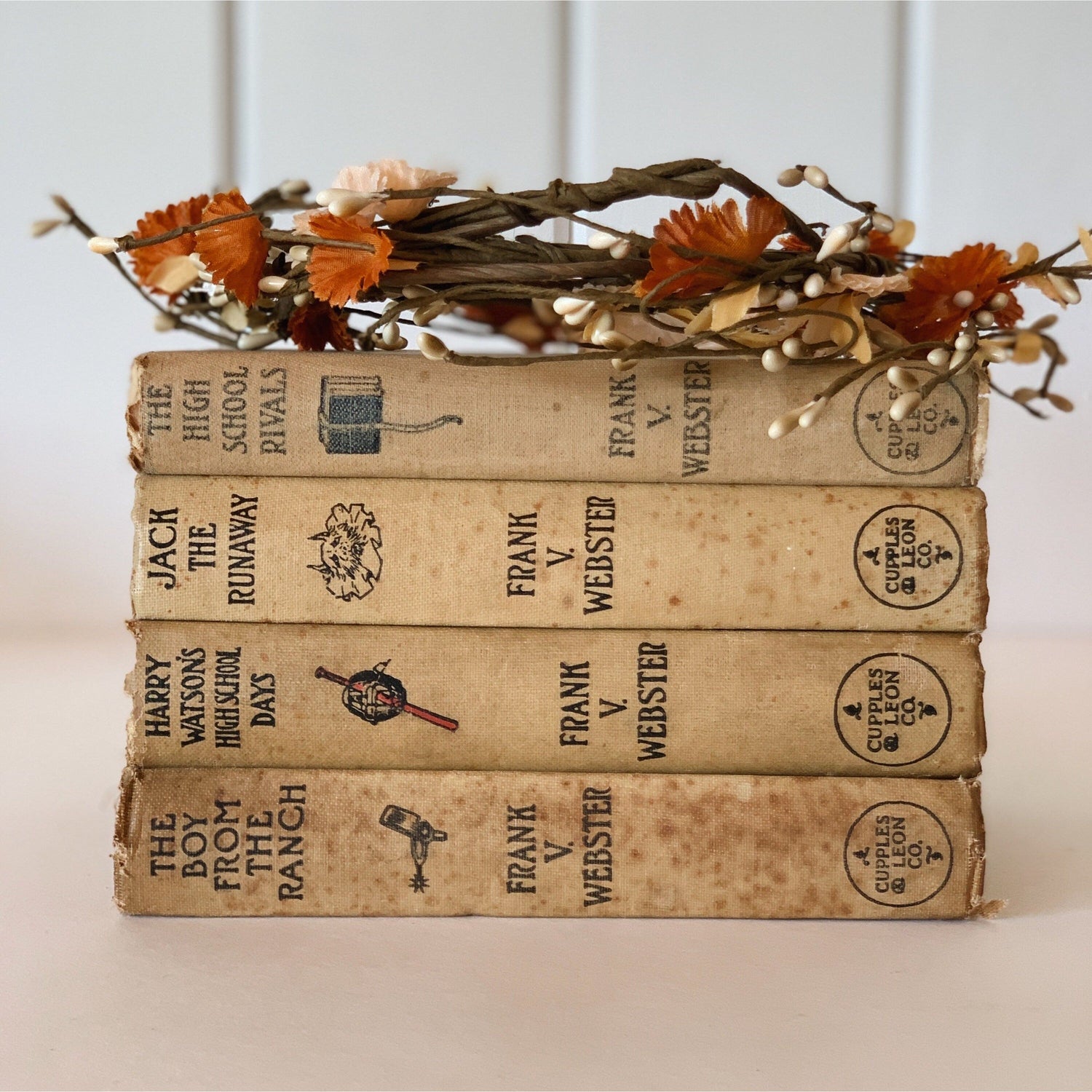Antique Shabby Frank V Webster Neutral Boys Children's Books, Boy Room Decor