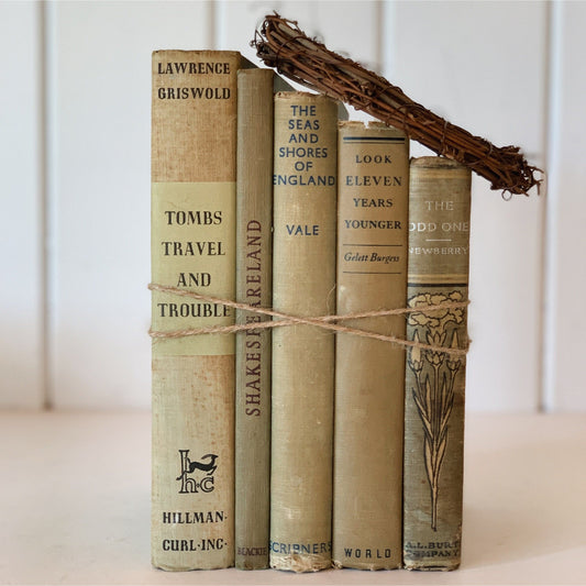 Antique Faded Green Books for Display, Old Books by Color
