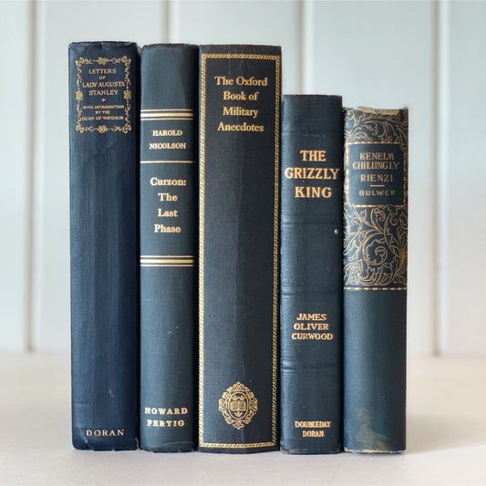 Vintage Navy Blue Books for Shelf Styling, Books By Color