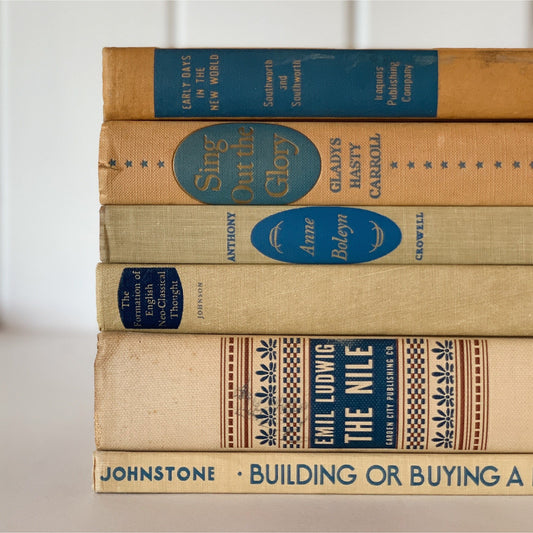 Beige Cream Blue Vintage Book Bundle for Shelf Styling, Books By Color