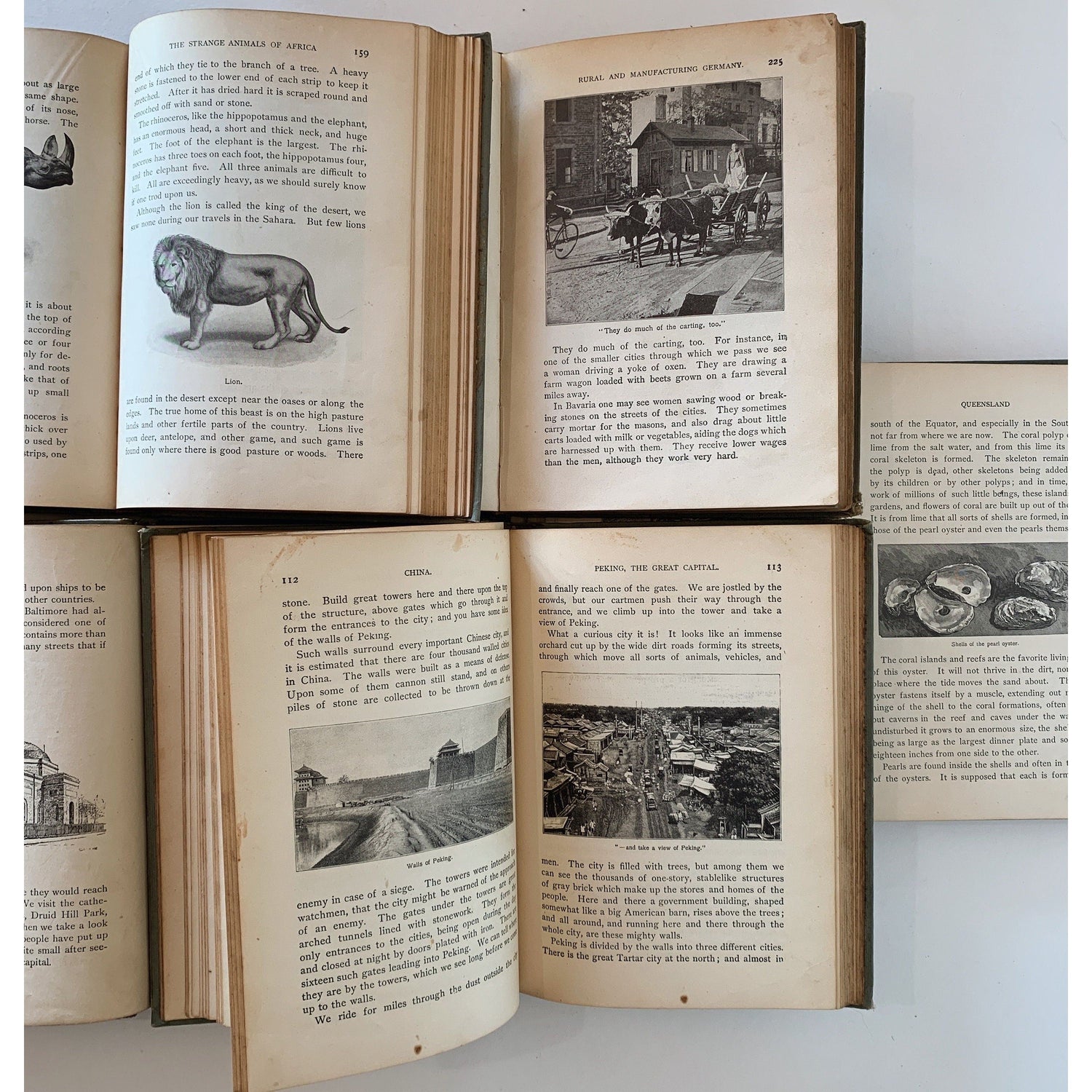 Antique Blue School Book Bundle, Carpenter's Geography Series, 1897-1904