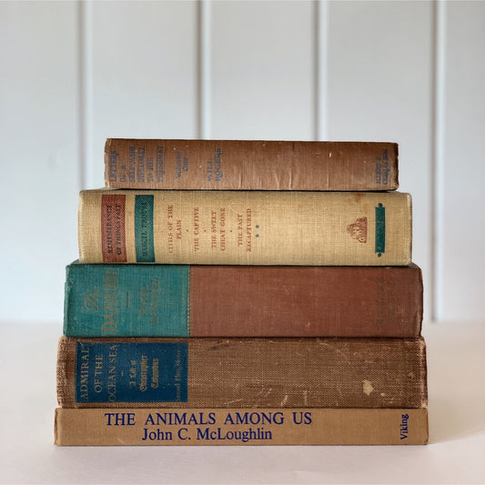 Brown Green Blue Intellectual Masculine Decorative Books, Mid Century Modern Vintage Shelf Decor