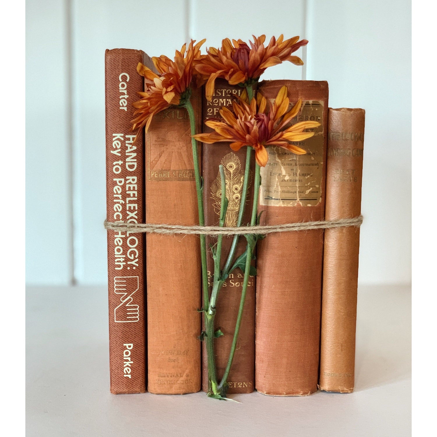 Peach Rust Orange Aesthetic Decorative Books, Bookshelf Deco