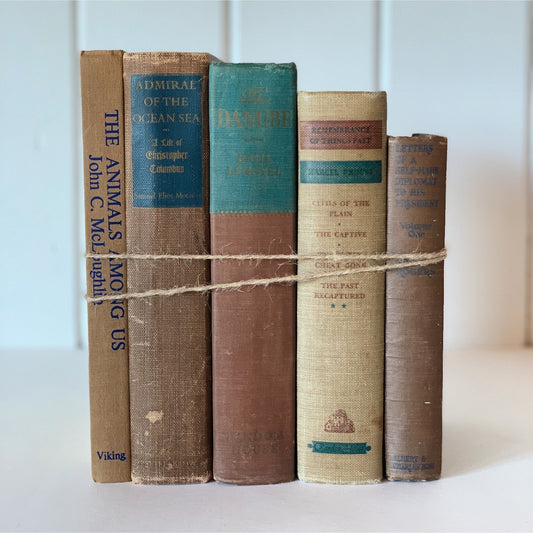 Brown Green Blue Intellectual Masculine Decorative Books, Mid Century Modern Vintage Shelf Decor