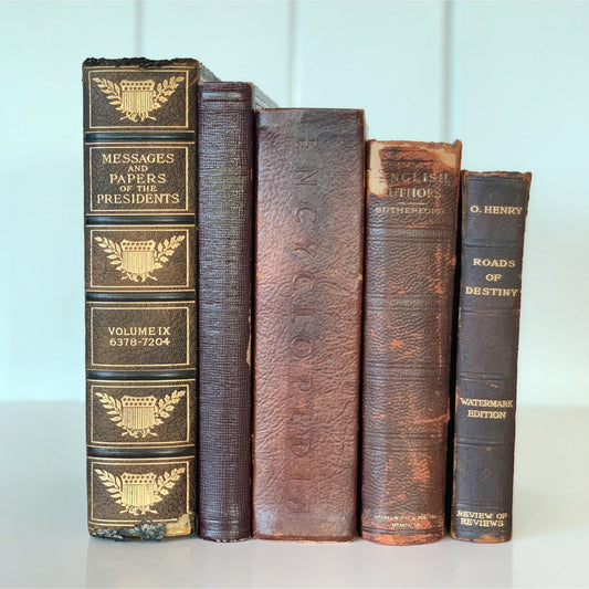 Antique and Vintage Leather Distressed Books for Shelf Styling, Old Books