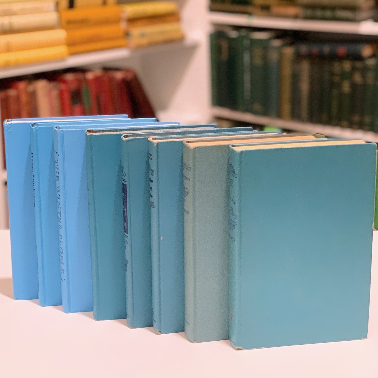 Retro Blue Decorative Books for Display, 1960s Bookshelf Decor, Books By Color
