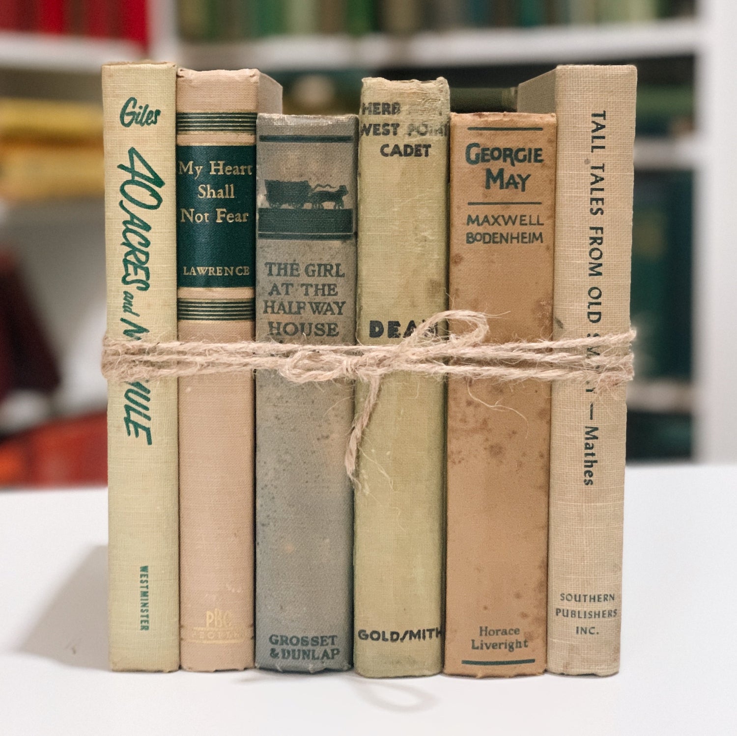 Beige and Green Vintage Decorative Books, Shabby Distressed Bookshelf Decor, Aesthetic Books for Home Office Decor