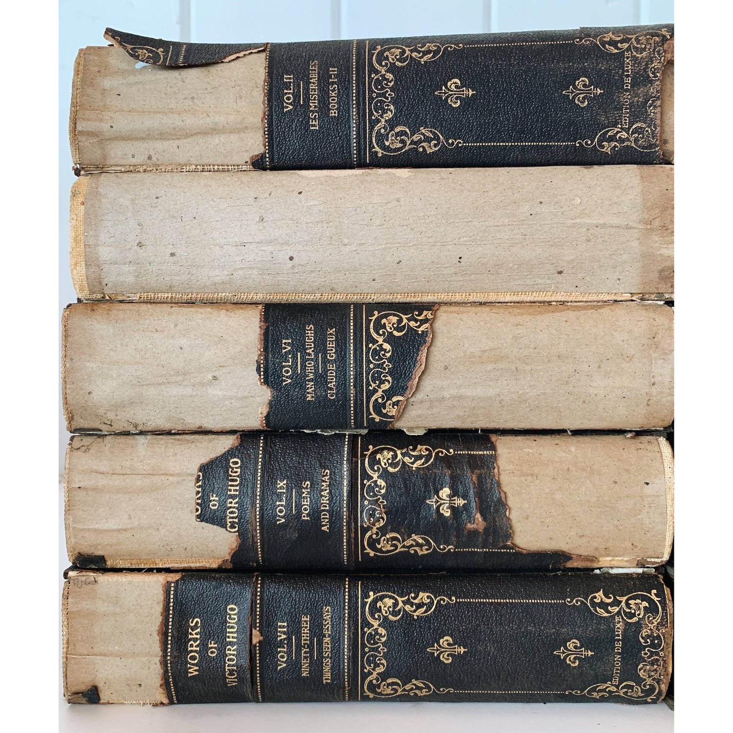 The Works of Victor Hugo, The Chesterfield Society, Edition D Luxe, Black and Beige Shabby Distressed Book Set, French Country