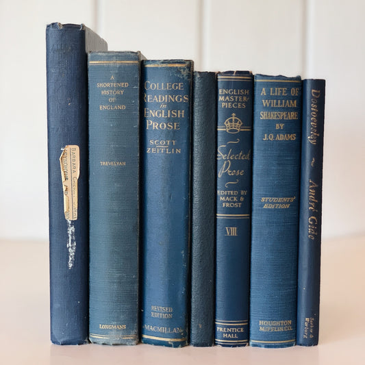 Denim Blue Vintage Books By Color, Curated Book Set, Mid century Modern Masculine Shelf Decor