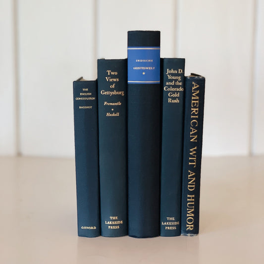Vintage Navy Blue Mini Book Set for Decor, Masculine Intellectual Bookshelf Decor