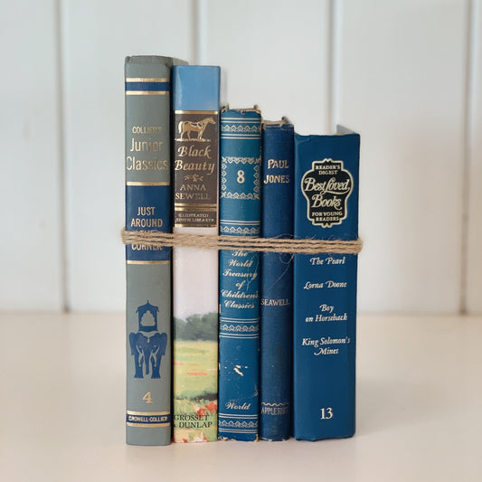 Blue Decorative Books, Vintage Children's Book Set, Playroom Decor