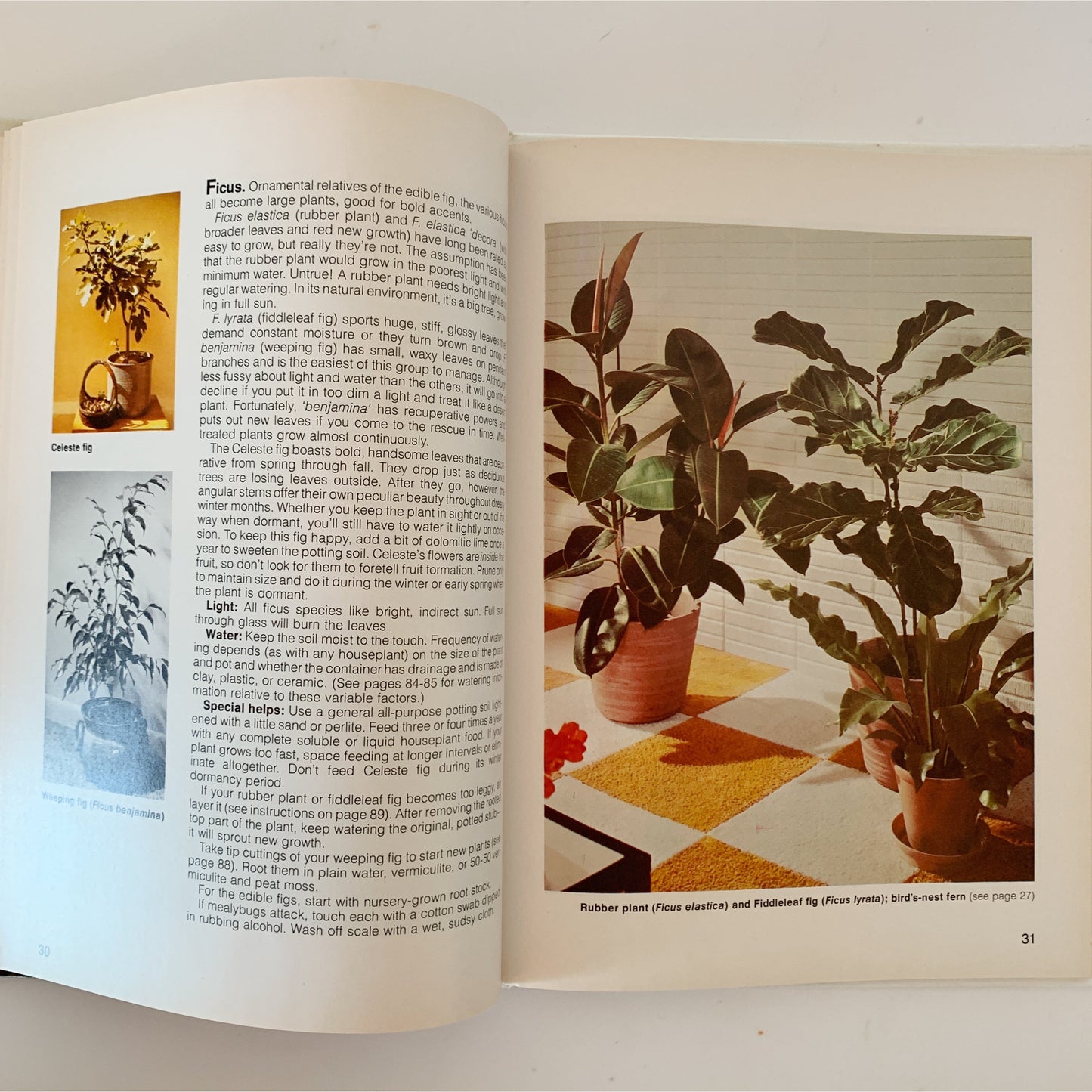 Better Homes and Gardens Favorite Houseplants 1982 Hardcover