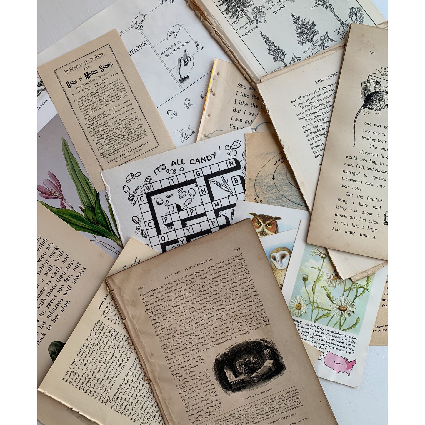 Book Paperie for Crafting, Junk Journal Supplies, Antique and Vintage Paper Pack