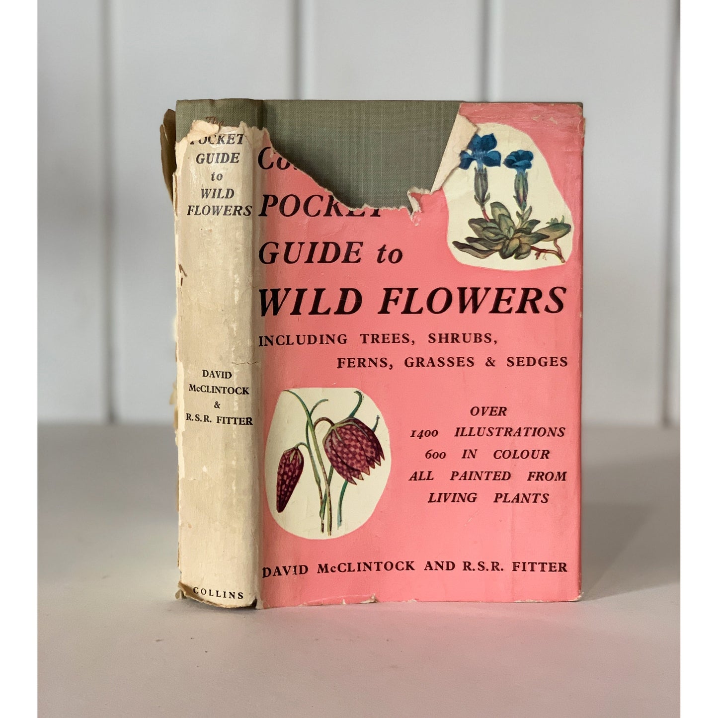 The Pocket Guide to Wild Flowers, 1961 British Field Guide, Illustrated