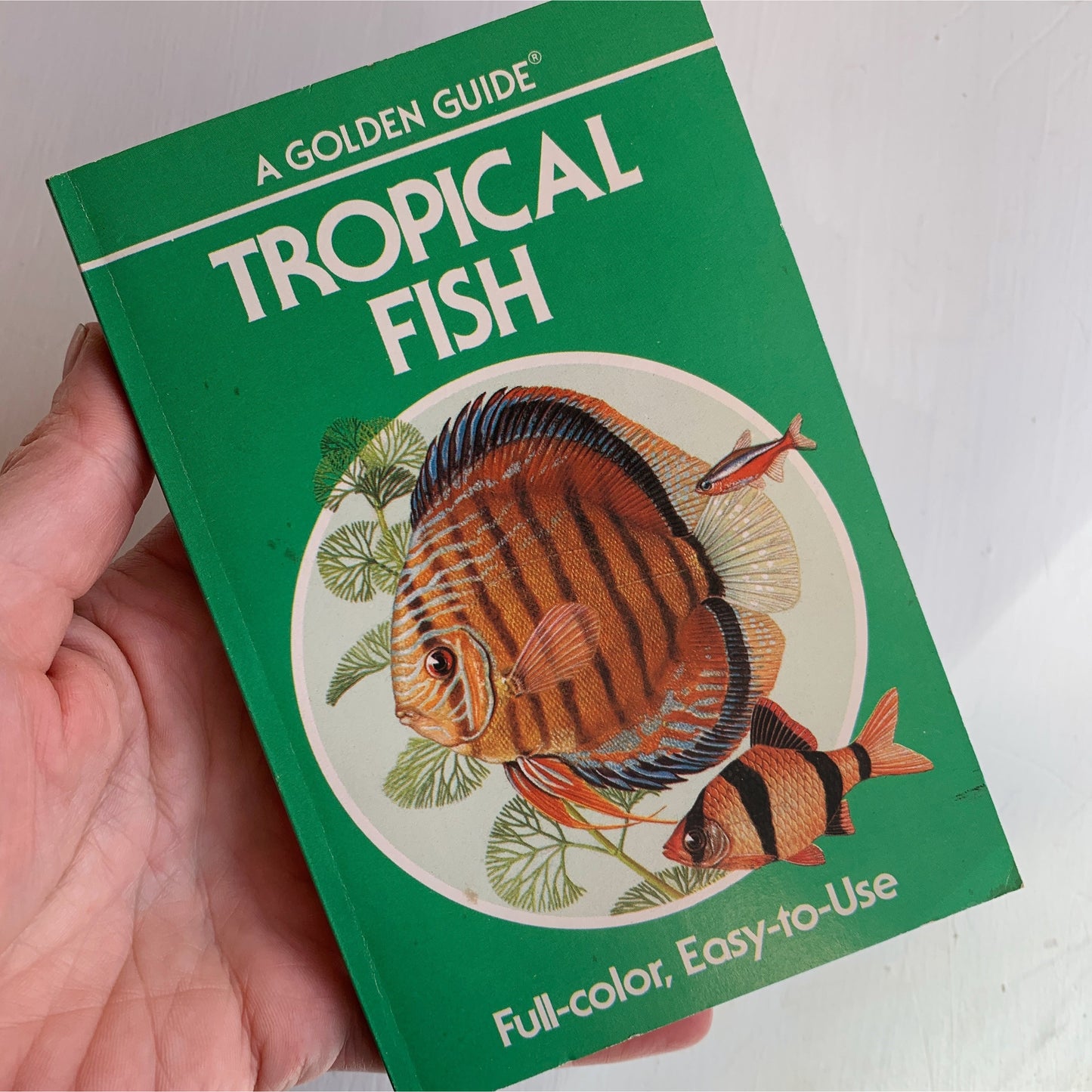 Tropical Fish A Golden Guide Paperback, Vintage 1987