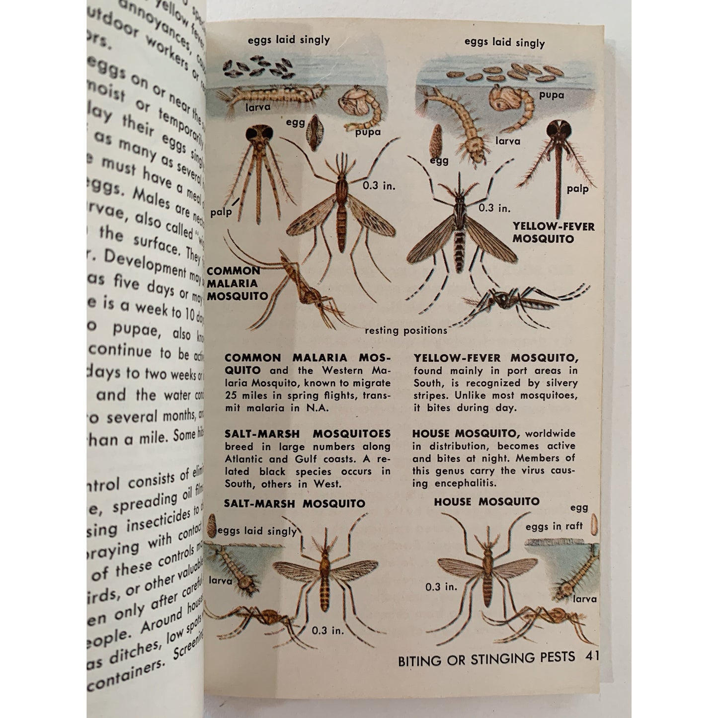 Insect Pests, A Golden Nature Guide, 1966