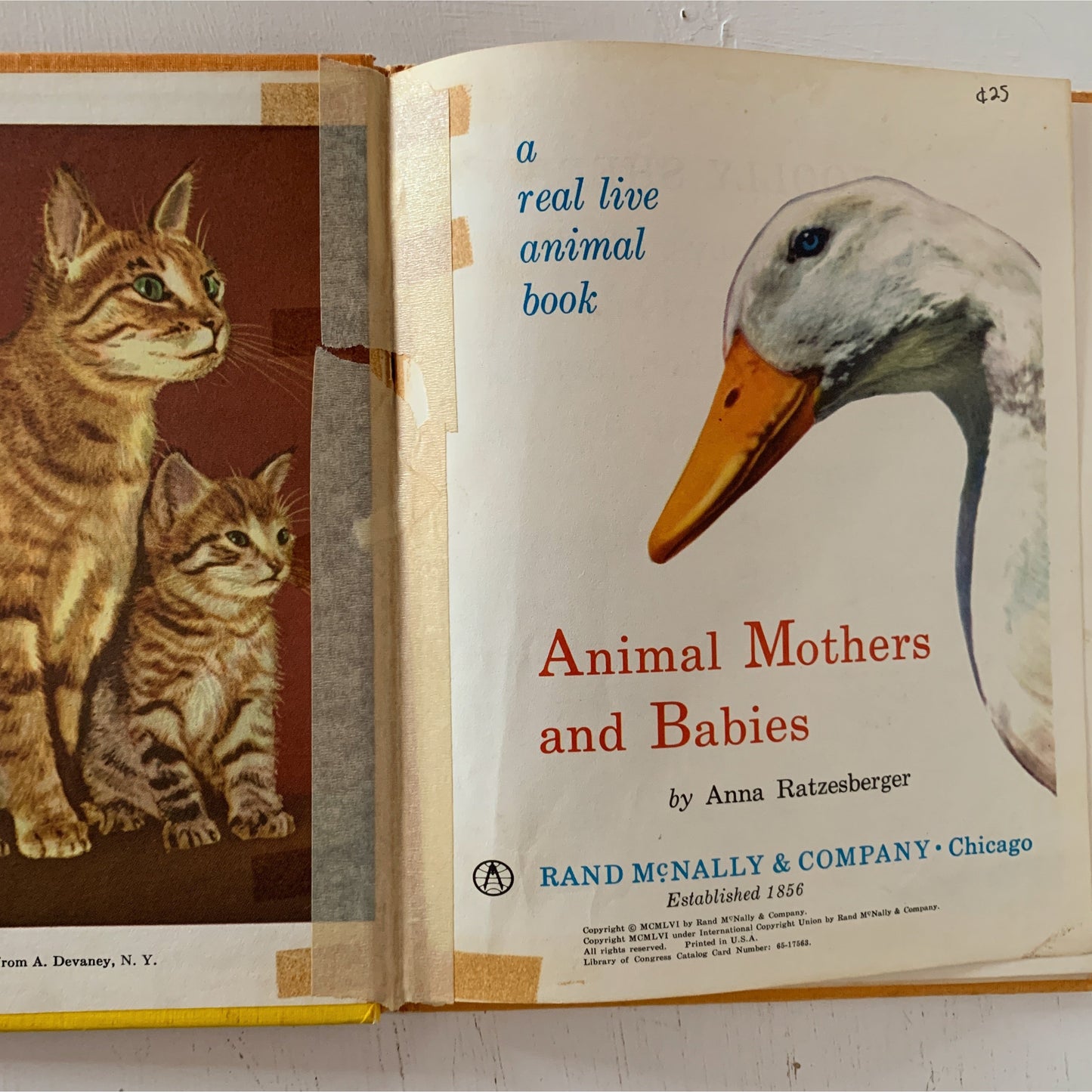 Animal Mothers and Babies, A Rand McNally Super Book, Hardcover, 1956
