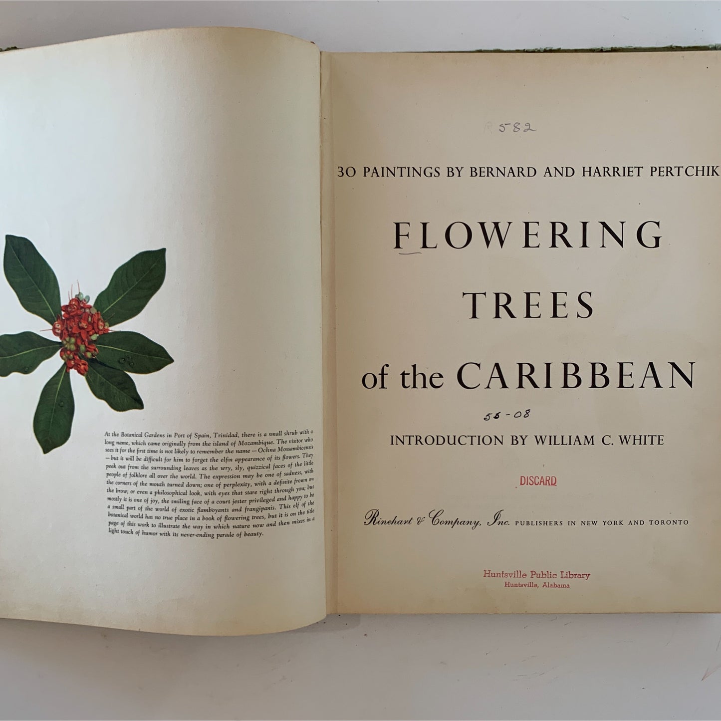 Flowering Trees of the Caribbean, 1951 Illustrated Botanical Book