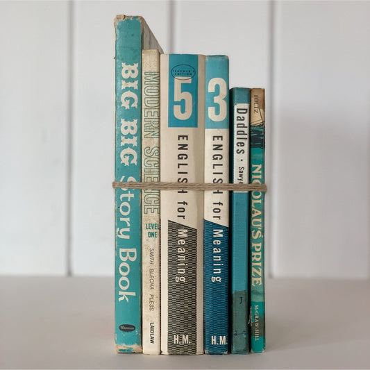 Mid - Century Turquoise and White Children's Books and School Books - Pretty Old Books
