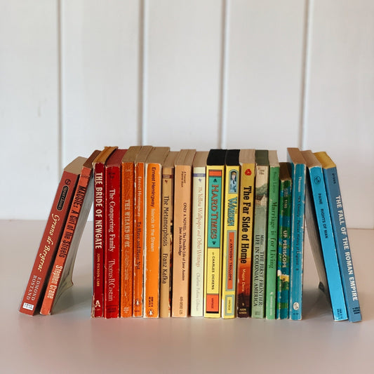 Rainbow Paperback Vintage Book Bundle, Instant Library - Pretty Old Books