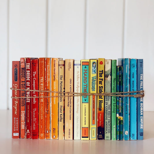 Rainbow Paperback Vintage Book Bundle, Instant Library - Pretty Old Books
