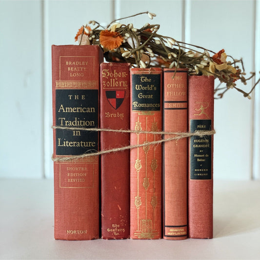 Terra Cotta and Rust Red Vintage Books for Decor, Bookshelf Decor, Books By Color - Pretty Old Books