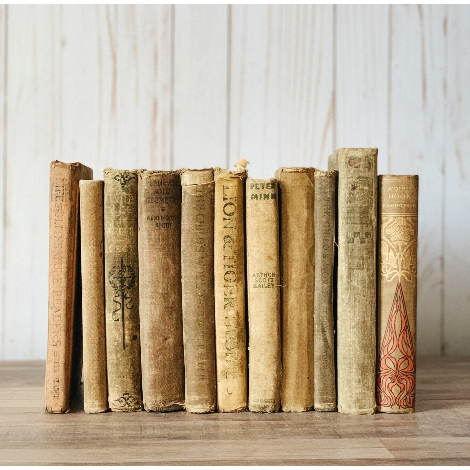 Vintage Decorative Books By Color for Shelf Styling, Real Books for Decorating, Home Staging, Decor - Pretty Old Books