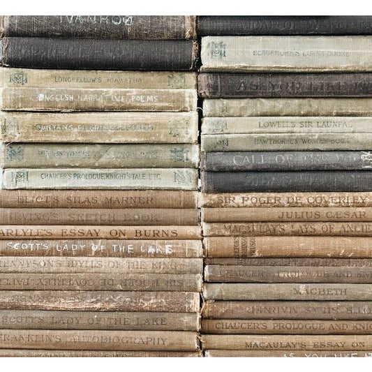 Vintage Decorative Books By Color for Shelf Styling, Real Books for Decorating, Home Staging, Decor - Pretty Old Books