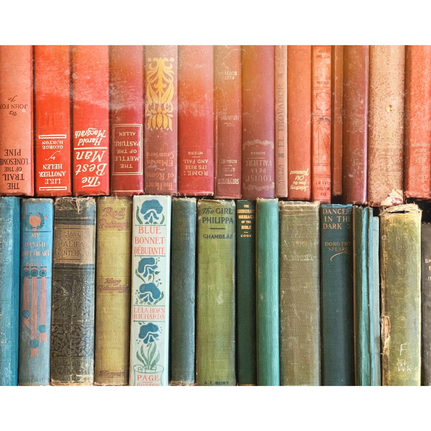 Vintage Decorative Books By Color for Shelf Styling, Real Books for Decorating, Home Staging, Decor - Pretty Old Books
